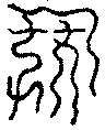 〔圖〕