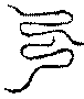 〔圖〕