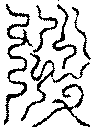 〔圖〕