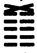 〔圖〕