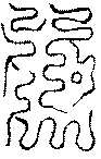 〔圖〕
