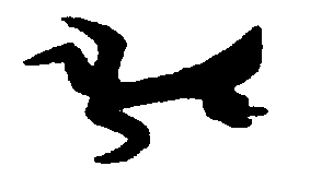 〔圖〕