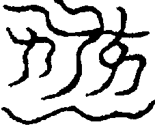 〔圖〕