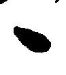 〔圖〕