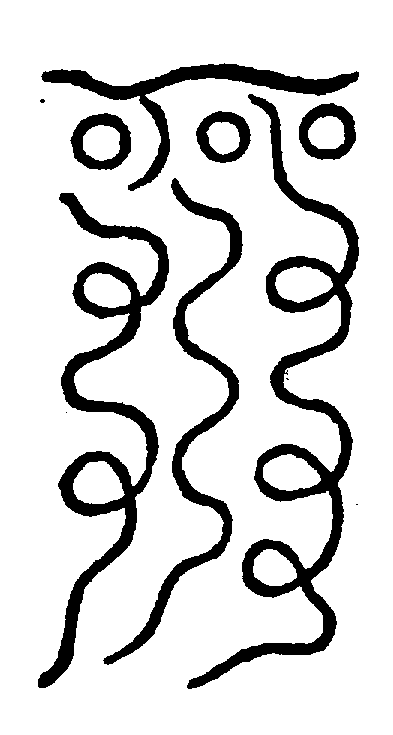 〔圖〕