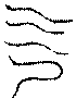 〔圖〕