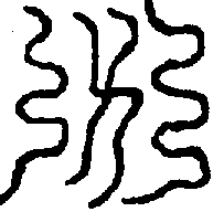〔圖〕