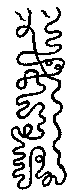 〔圖〕