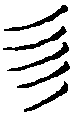 〔圖〕