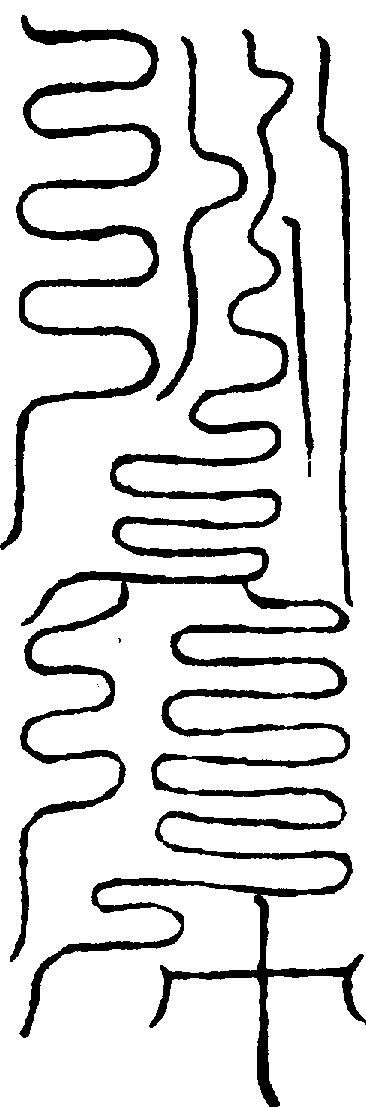 〔圖〕