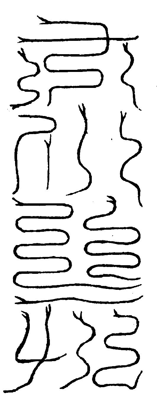 〔圖〕