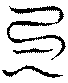 〔圖〕