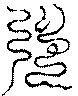 〔圖〕
