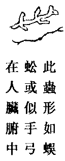 〔圖〕