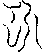 〔圖〕