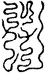 〔圖〕