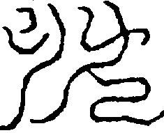 〔圖〕