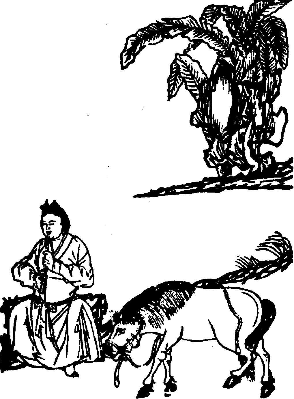 〔圖〕