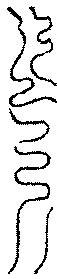 〔圖〕