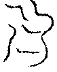 〔圖〕