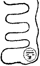 〔圖〕
