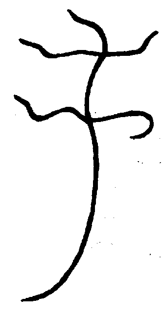 〔圖〕