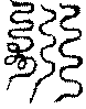 〔圖〕