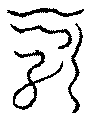 〔圖〕