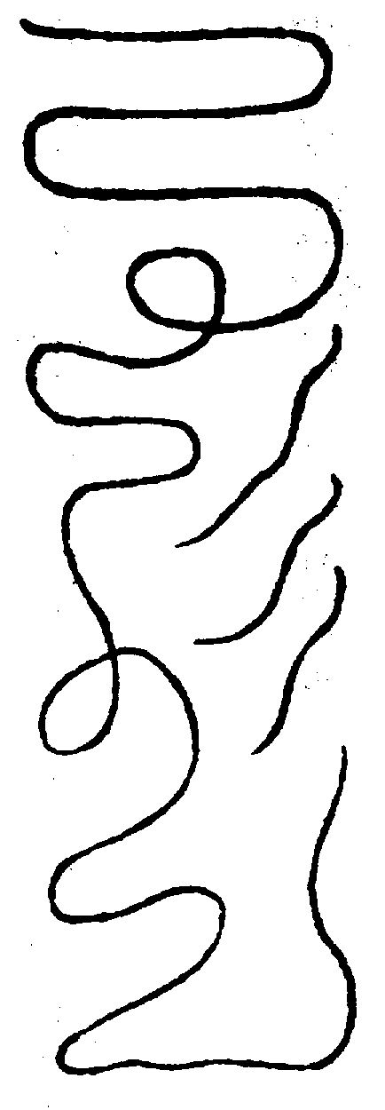 〔圖〕