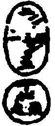 〔圖〕