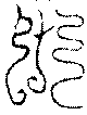 〔圖〕