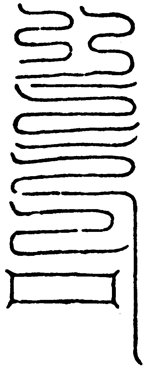〔圖〕