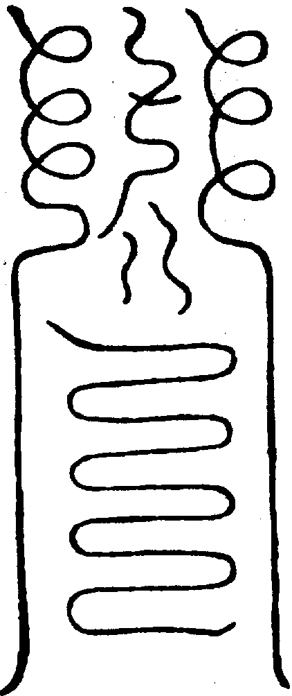 〔圖〕