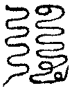 〔圖〕