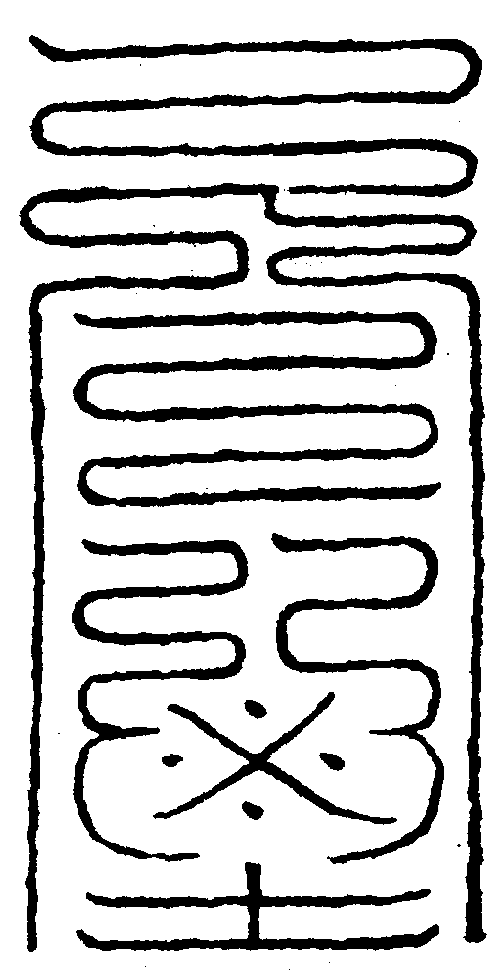 〔圖〕