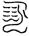 〔圖〕