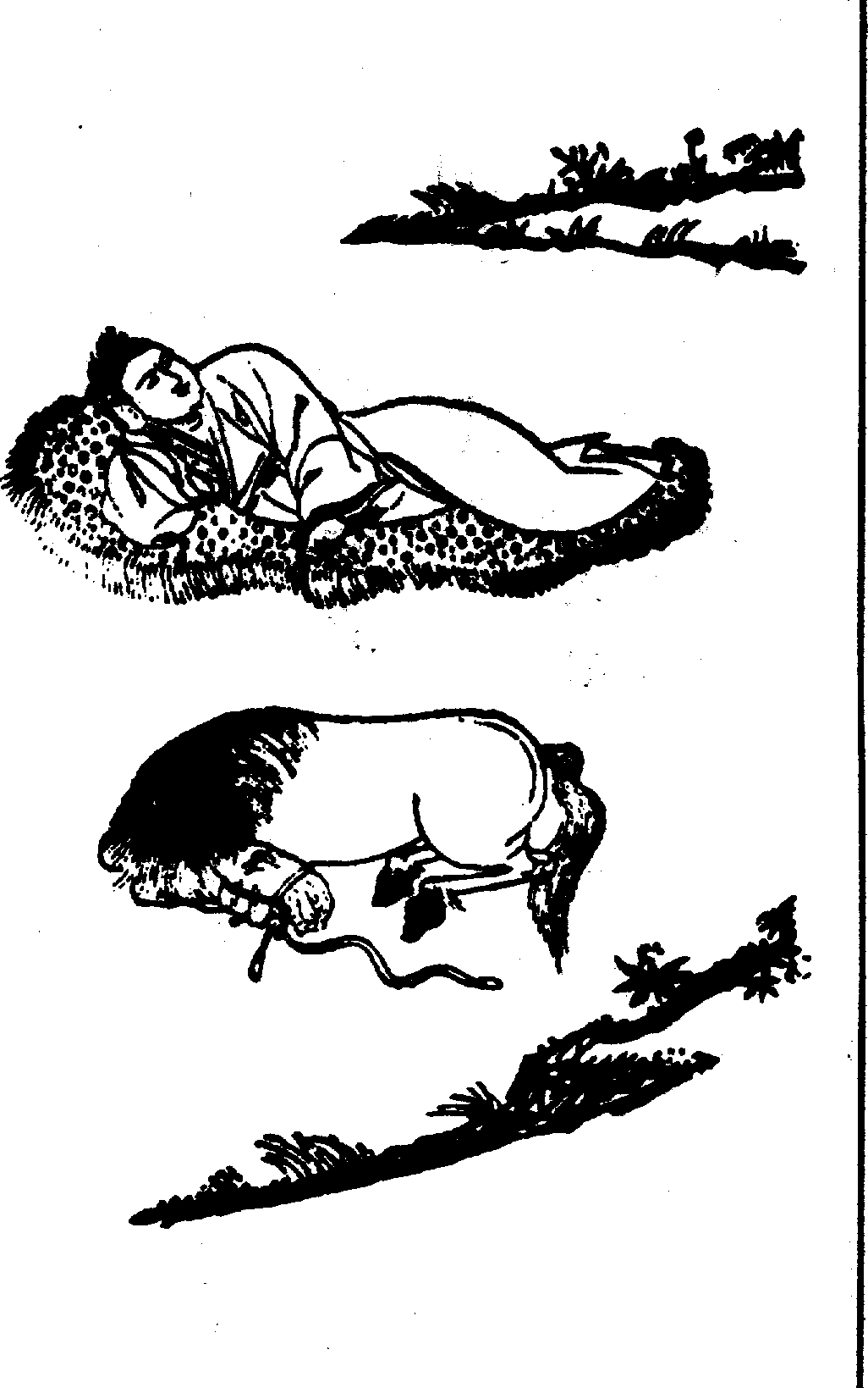 〔圖〕