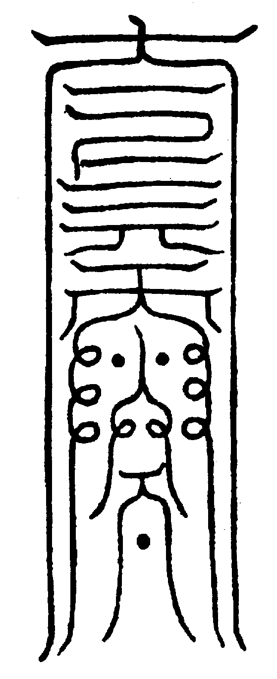 〔圖〕