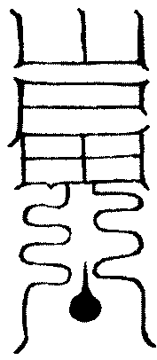 〔圖〕