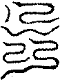 〔圖〕