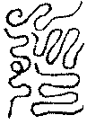 〔圖〕