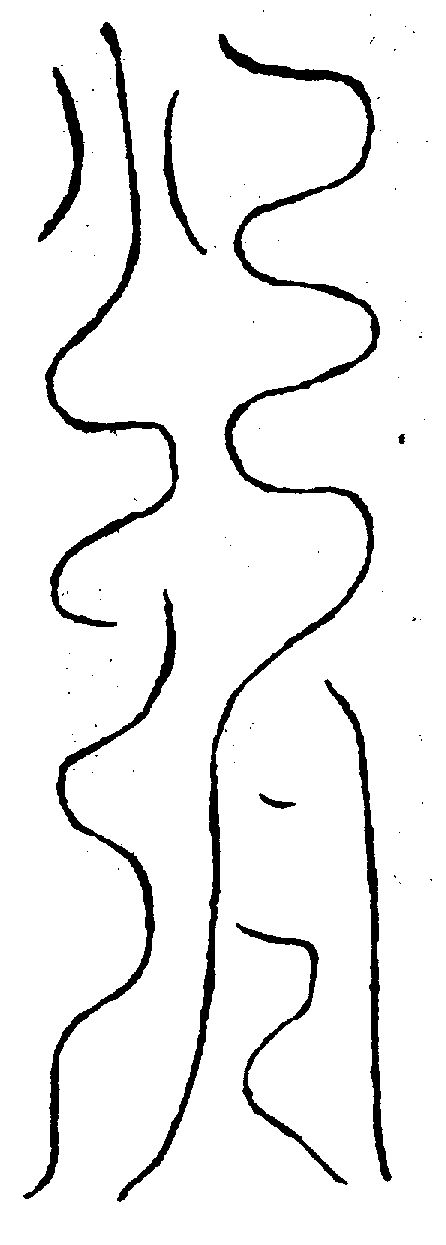 〔圖〕