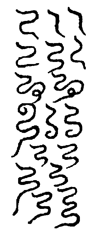〔圖〕