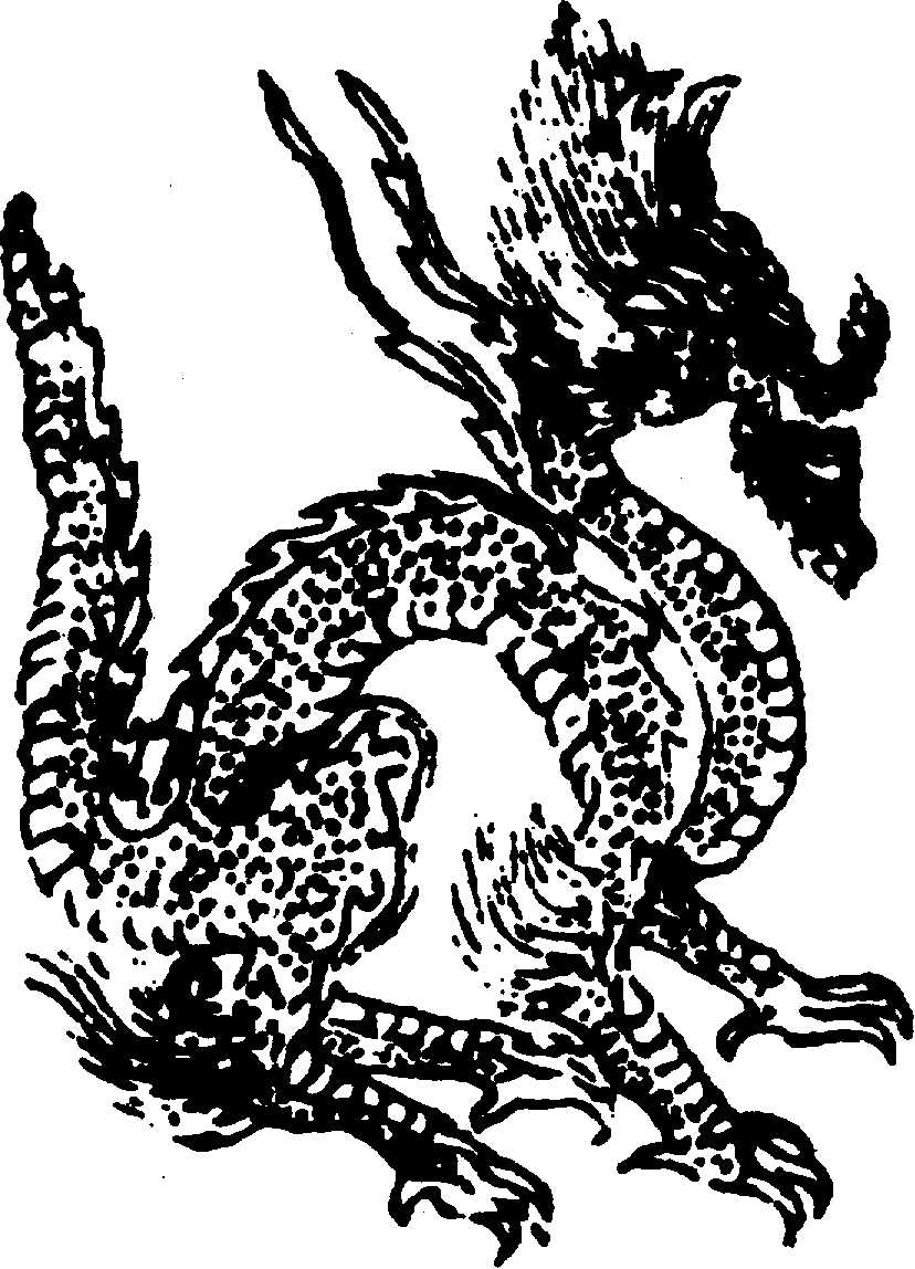 〔圖〕