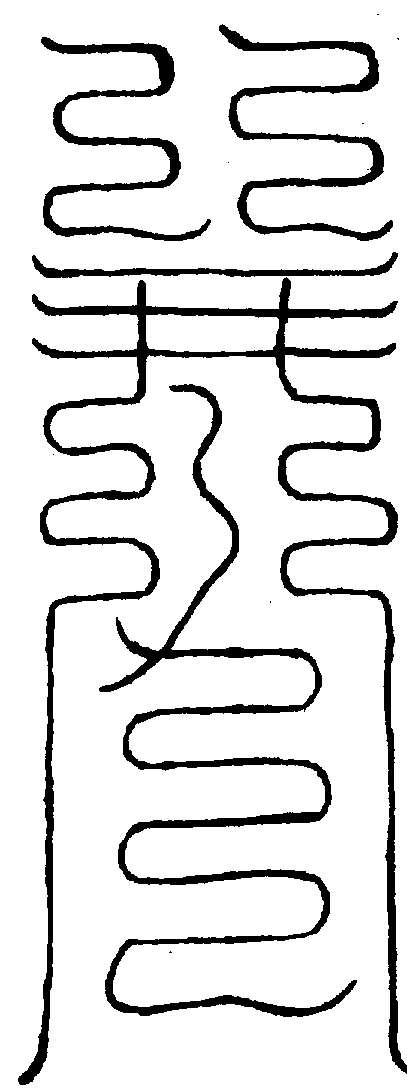 〔圖〕