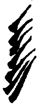 〔圖〕