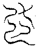 〔圖〕
