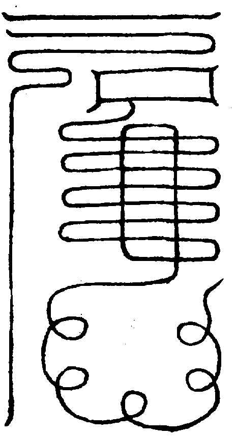 〔圖〕