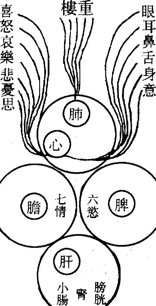 〔圖〕