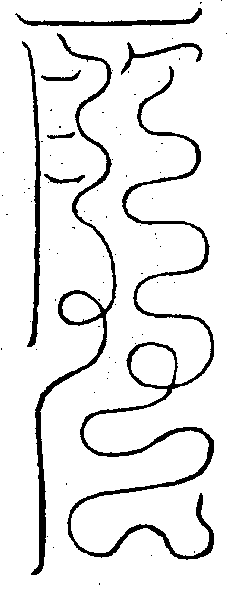 〔圖〕